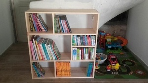 Petite Bibliothèque Pin