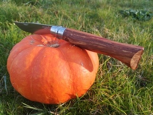 Opinel en bois de rose et rosier