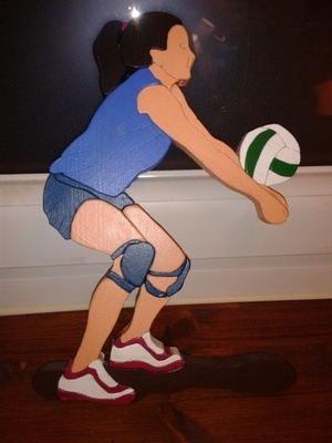 Volleyeuse ...............