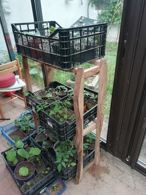 Étagère dans les croûtes.