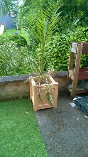 Salon de jardin-2eme partie: les cache pots