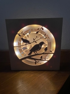 Lightbox Oiseaux