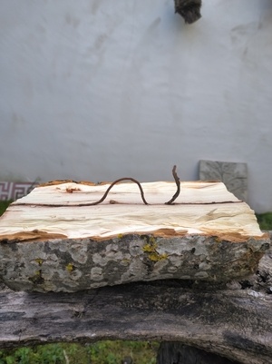 Le monstre du Loch Moelle