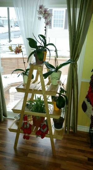 Étagère à plantes