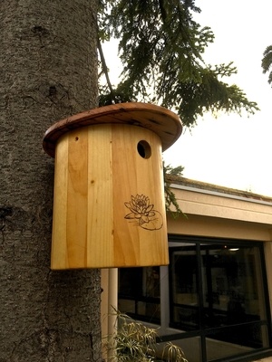 Complexe hôtelier pour zozios, un nichoir et une mangeoire