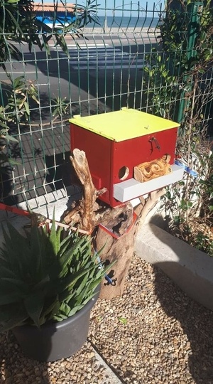 Petit T2 à louer, pour jeune couple de moineaux