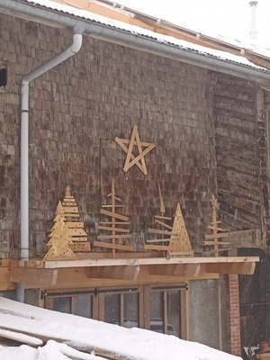 Chute de bois dans les sapins