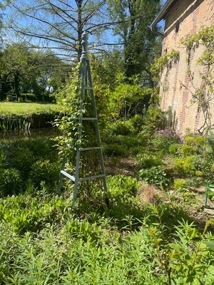 Pyramide support de rosiers ou de clématite
