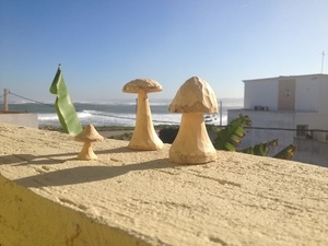 De p'tits champignons à la main