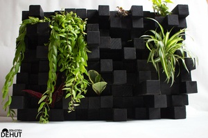 Décoration murale vivante