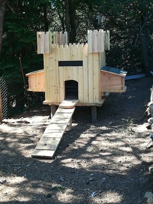 Poulailler château fort