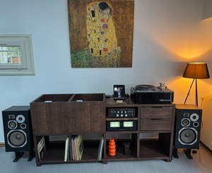 Meuble vinyls