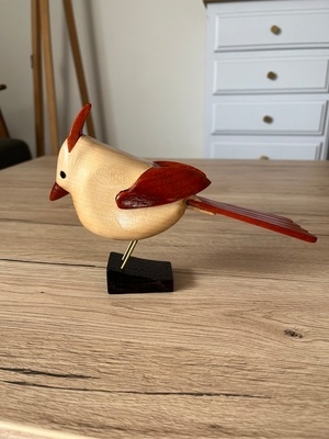 Un cardinal blanc