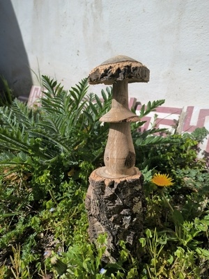 Avis aux amateurs de champignons