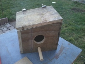 Cabane d oiseaux simple