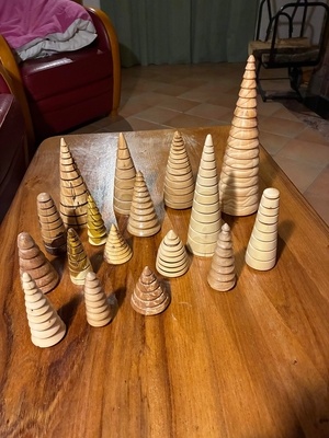 Futaie irrégulière