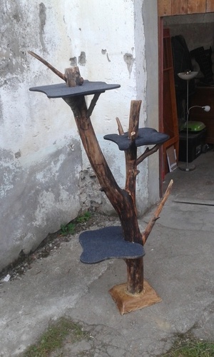 Arbre à chat.