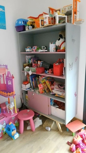 Étagère pour jeune demoiselle en CP peint technique "Diomedea"