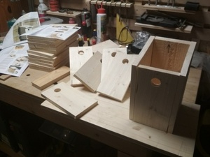 6 x Nichoirs pour les mésanges