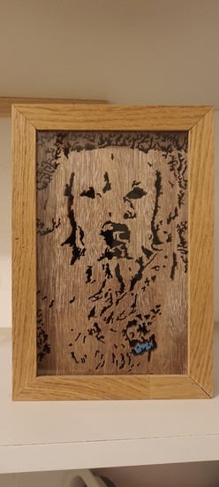 Light Box Golden Retriever