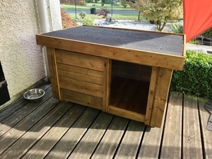 Niche de chien contemporaine