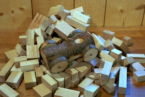 Le bolide en bois d'arbre