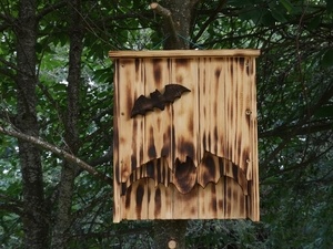 Nichoir chauve souris