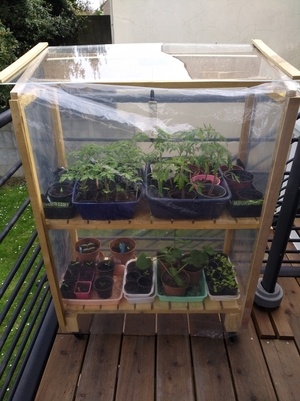 Serre à semis "automatique"