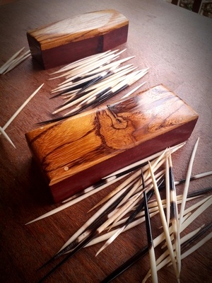 Mikado porc-épic et sa boite...