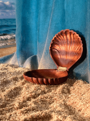 Boite Coquillage