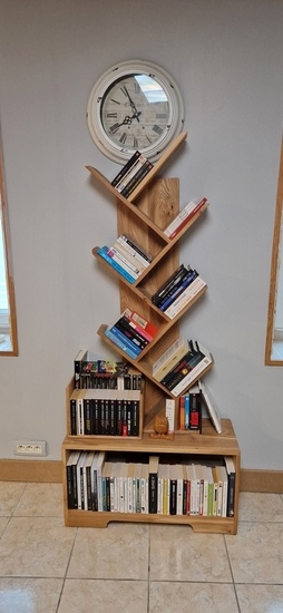 Bibliothèque en orme