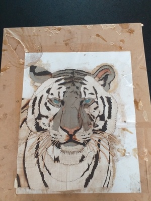 Montage sur cale Tigre Blanc marqueterie