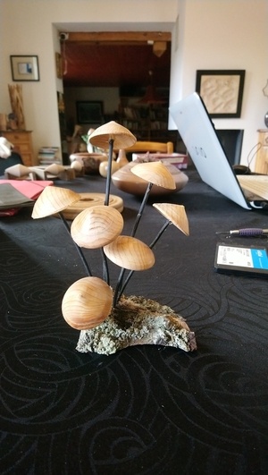 Champignons non comestibles