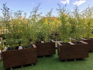 Bac à plantes sur roulettes en bois de terrasse