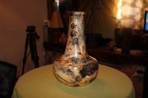 Tournage d'un trognon de marronnier (vidéo)