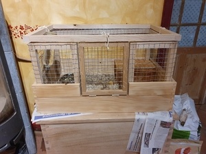 Cage à cochon d'inde