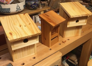 Nichoirs et cantine à oiseau (modèle La Hulotte)