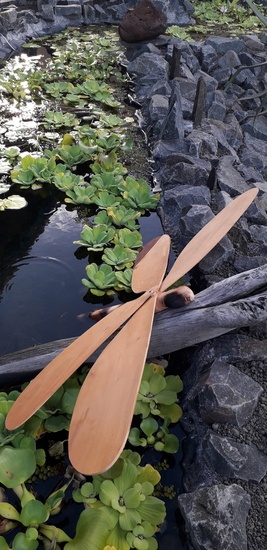 Libellule et son bassin...