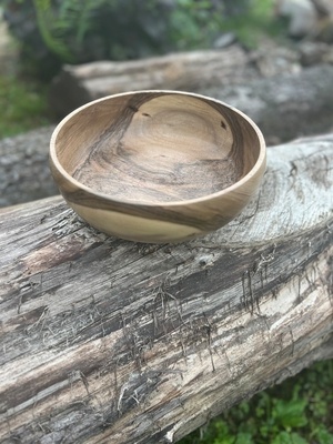 Un petit bout de noyer