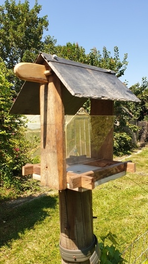 Le resto local à piafs