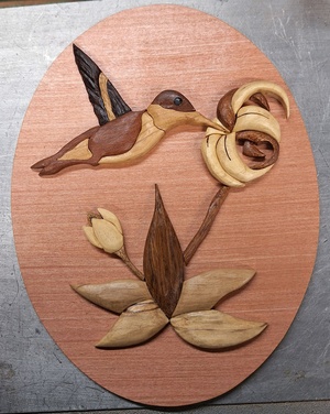 Le colibri en action