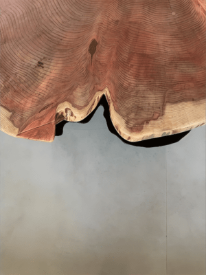 Table basse en Sequoia
