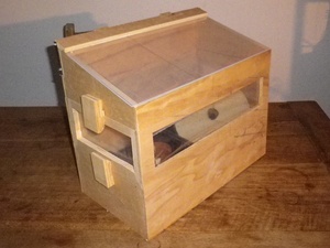 Serre de germination