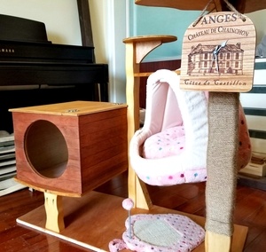 Le "Chat'O" des Plaisirs...une salle de gym pour chat