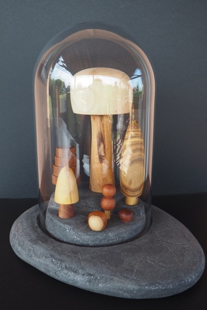 Arboretum sous cloche