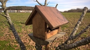 Mangeoire à oiseaux