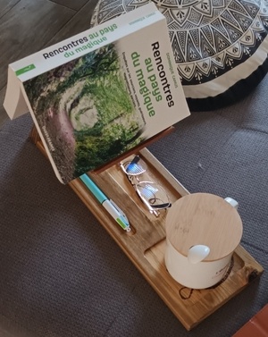 Support livre ou liseuse