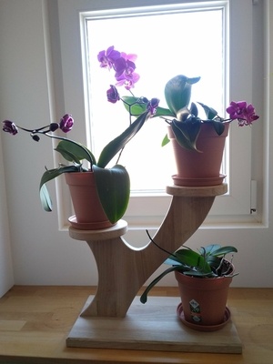 Petit présentoir pour plantes ou autres