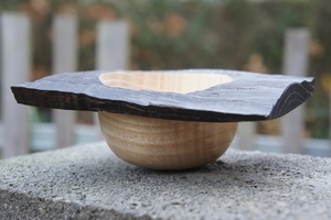 Le bol dans la bûche