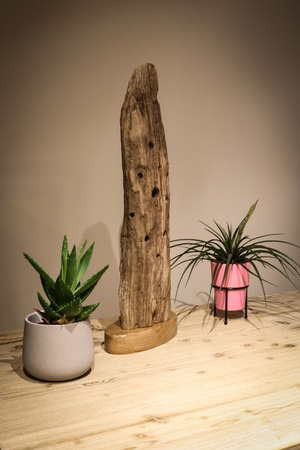 Lampe à led à du bois flotté et une base en chêne